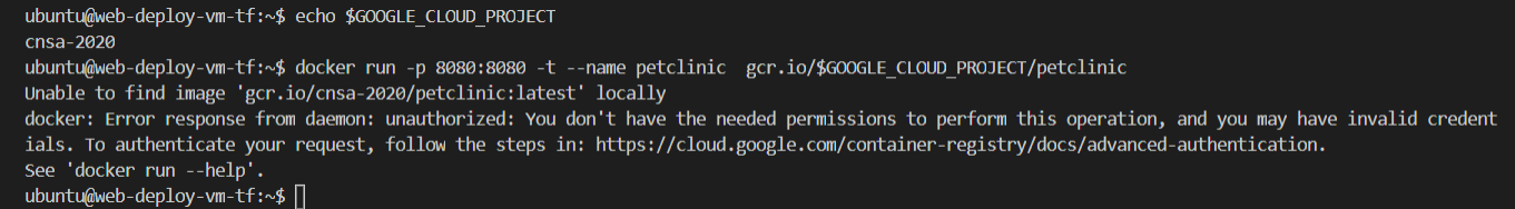 docker run petclinic webapp error authentication